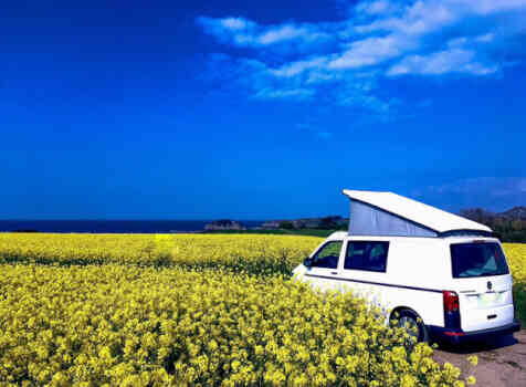 camping-car VOLKSWAGEN T6  extérieur 